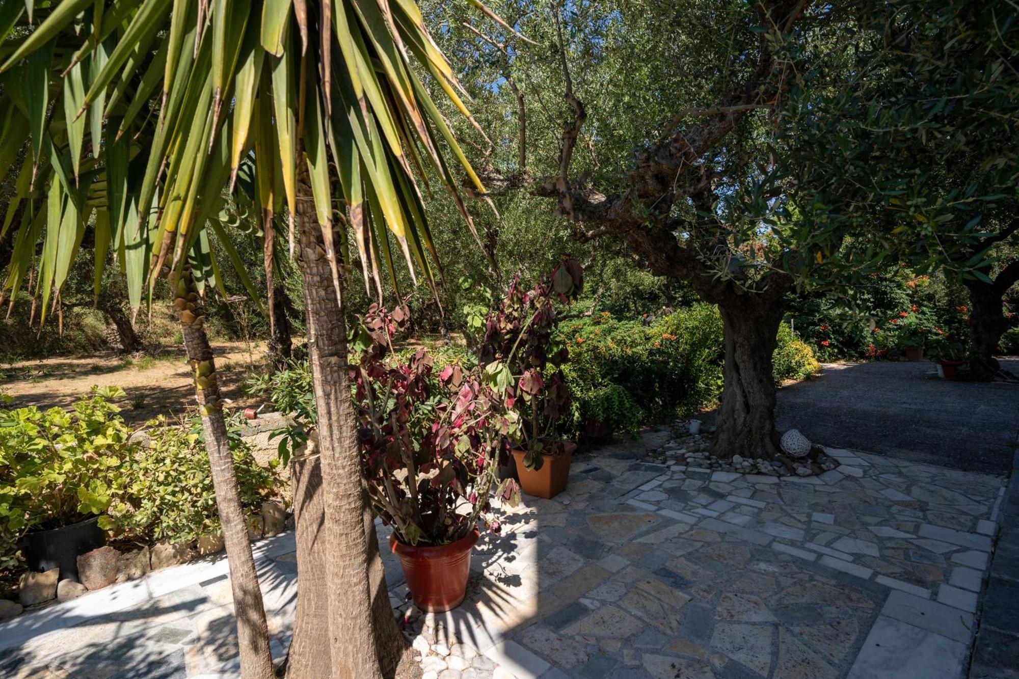 Skyblue Horizon Studio 2 Tsilivi  Exterior photo